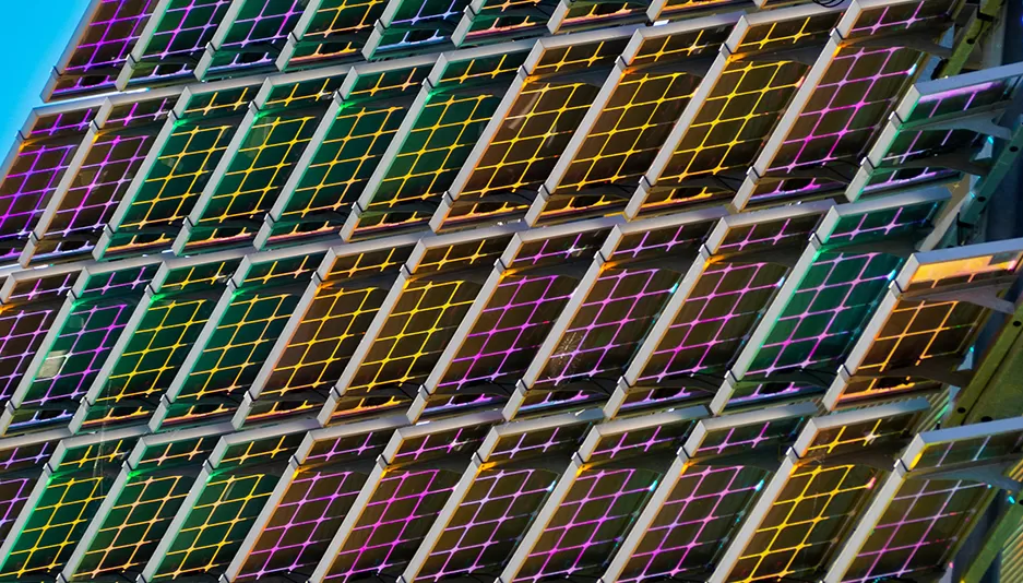 地域分布と競争環境